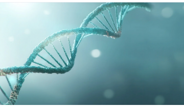 Activate FOXO3 — The Gene That Helps You Age Well